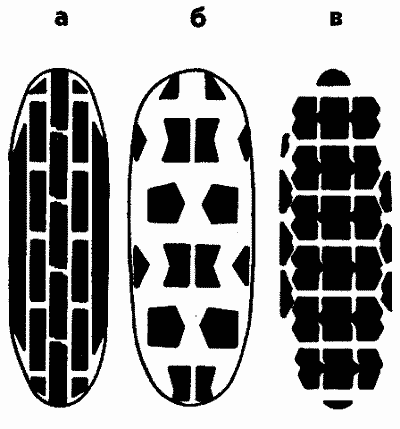 Отпечатки протектора шин