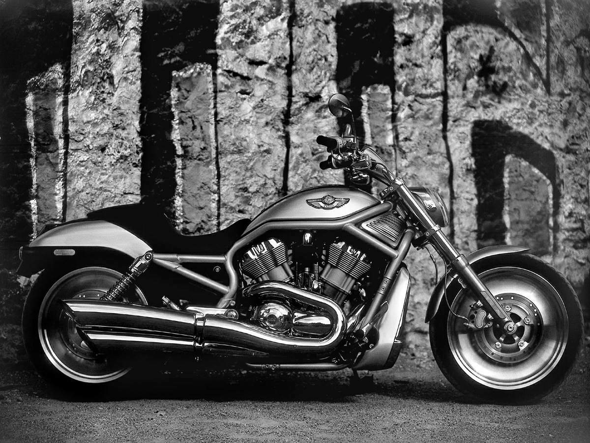 Мотоцикл Harley Davidson VRSCA V-Rod 100th Anniversary 2003