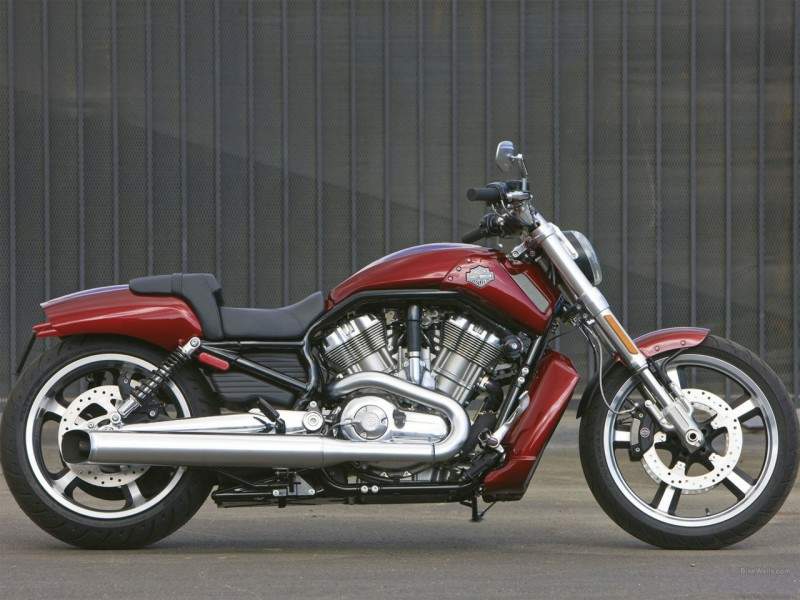 Мотоцикл Harley Davidson VRSCF V-Rod Muscle 2009 фото