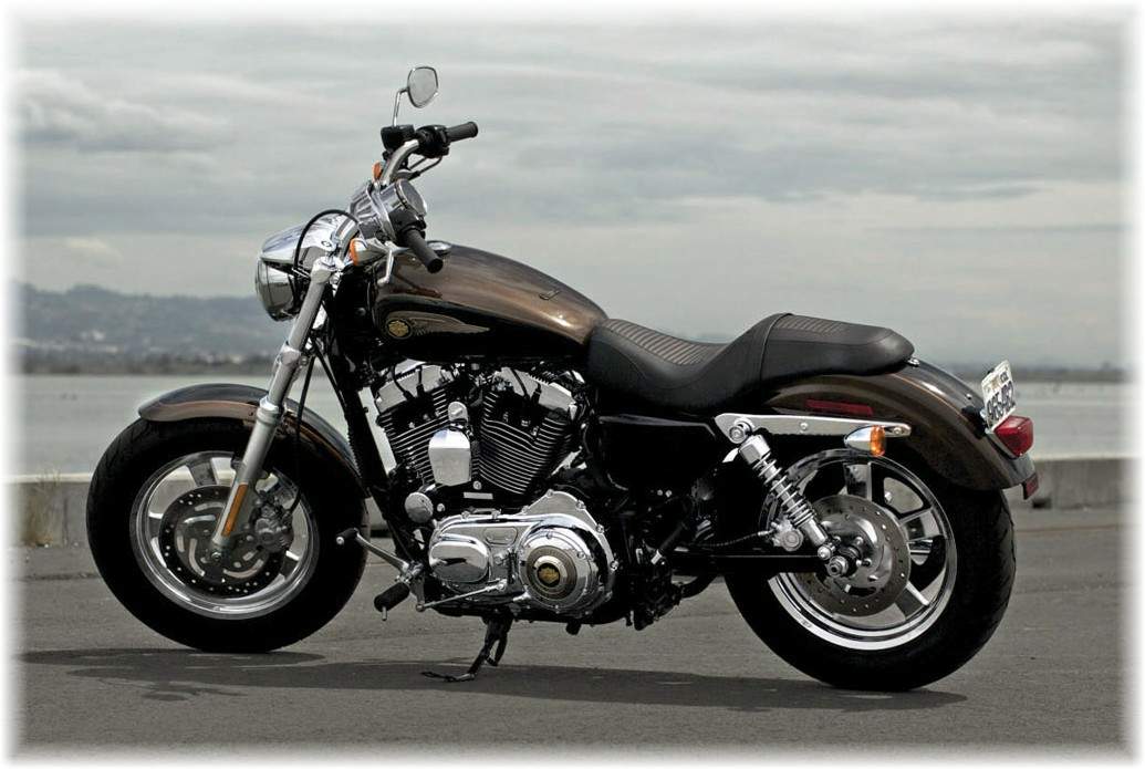 Мотоцикл Harley Davidson XL 1200C Sportster Custom 110th Anniversary 2013