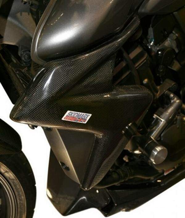 Мотоцикл Honda CB 1000R Carbon Kit 2009 фото