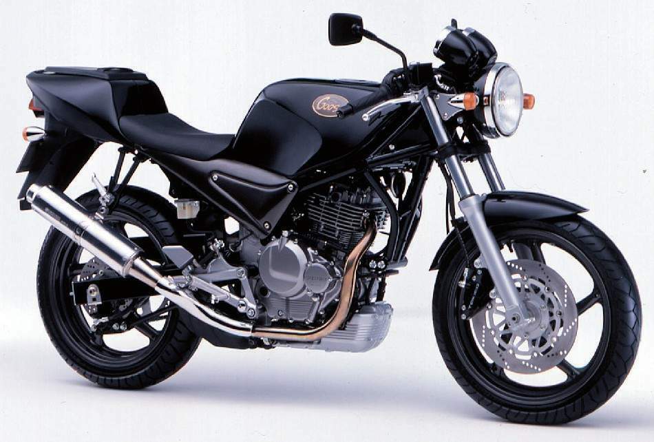 Мотоцикл Suzuki SG 250N Goose 1991 фото