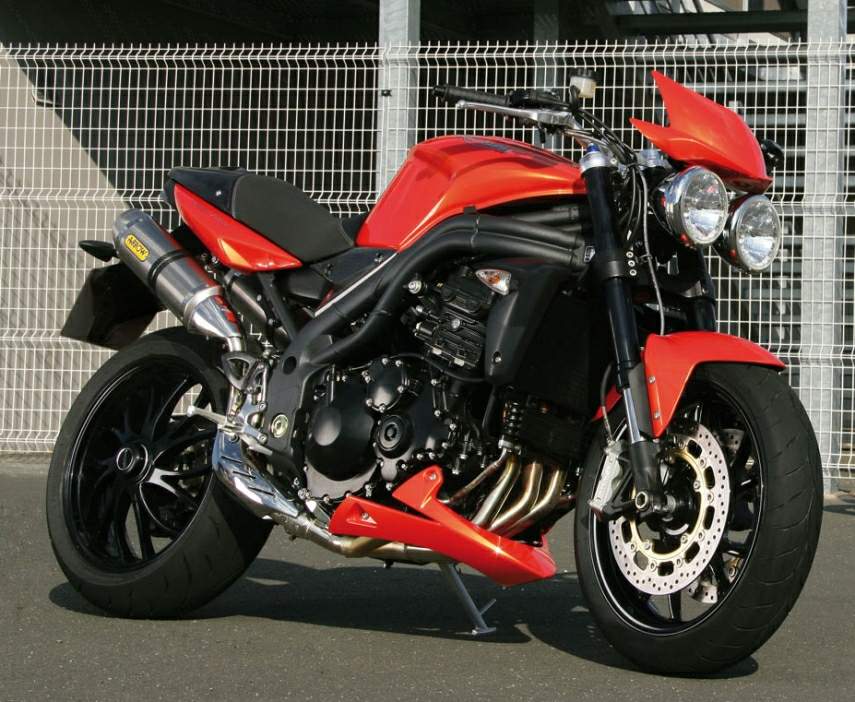 Фотография мотоцикла Triumph Speed Triple 2009