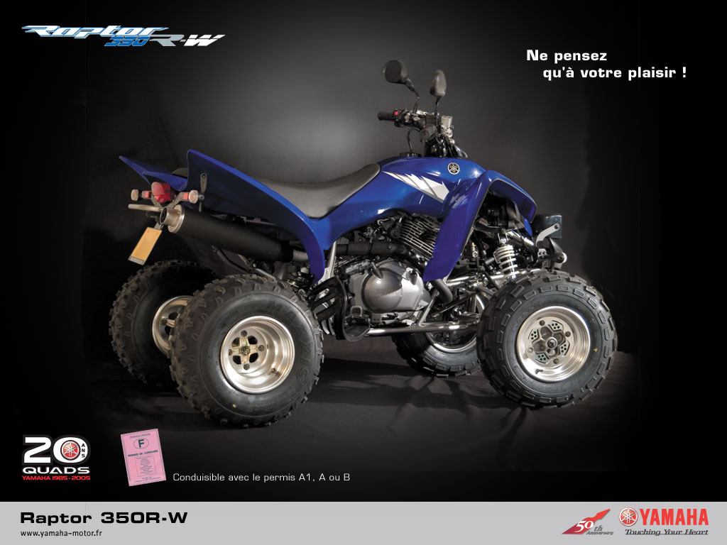 Мотоцикл Yamaha RAPTOR 350 R-W 2005