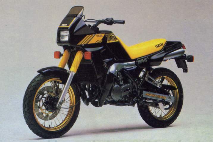 Мотоцикл Yamaha TDR 250  1989 фото