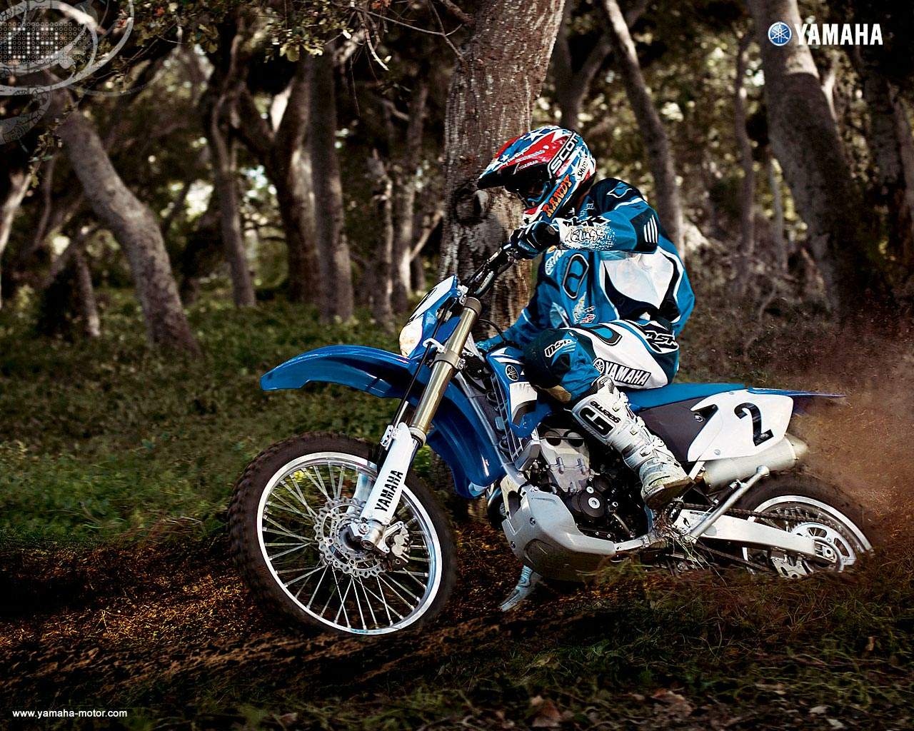 Мотоцикл Yamaha WR 450F 2008 фото